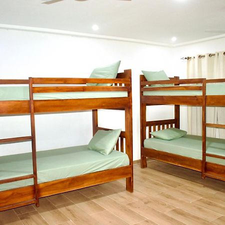Tree House Hostel Тамале Екстериор снимка